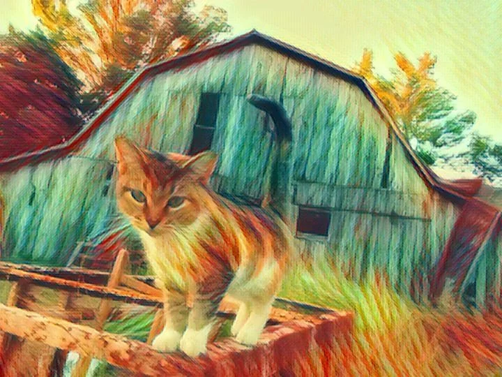 Barn Watcher