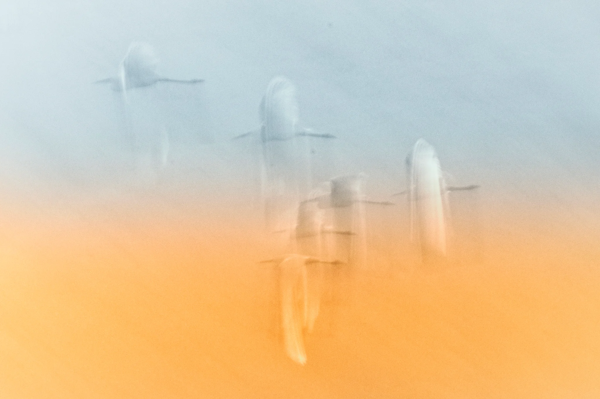 Vanishing Flight