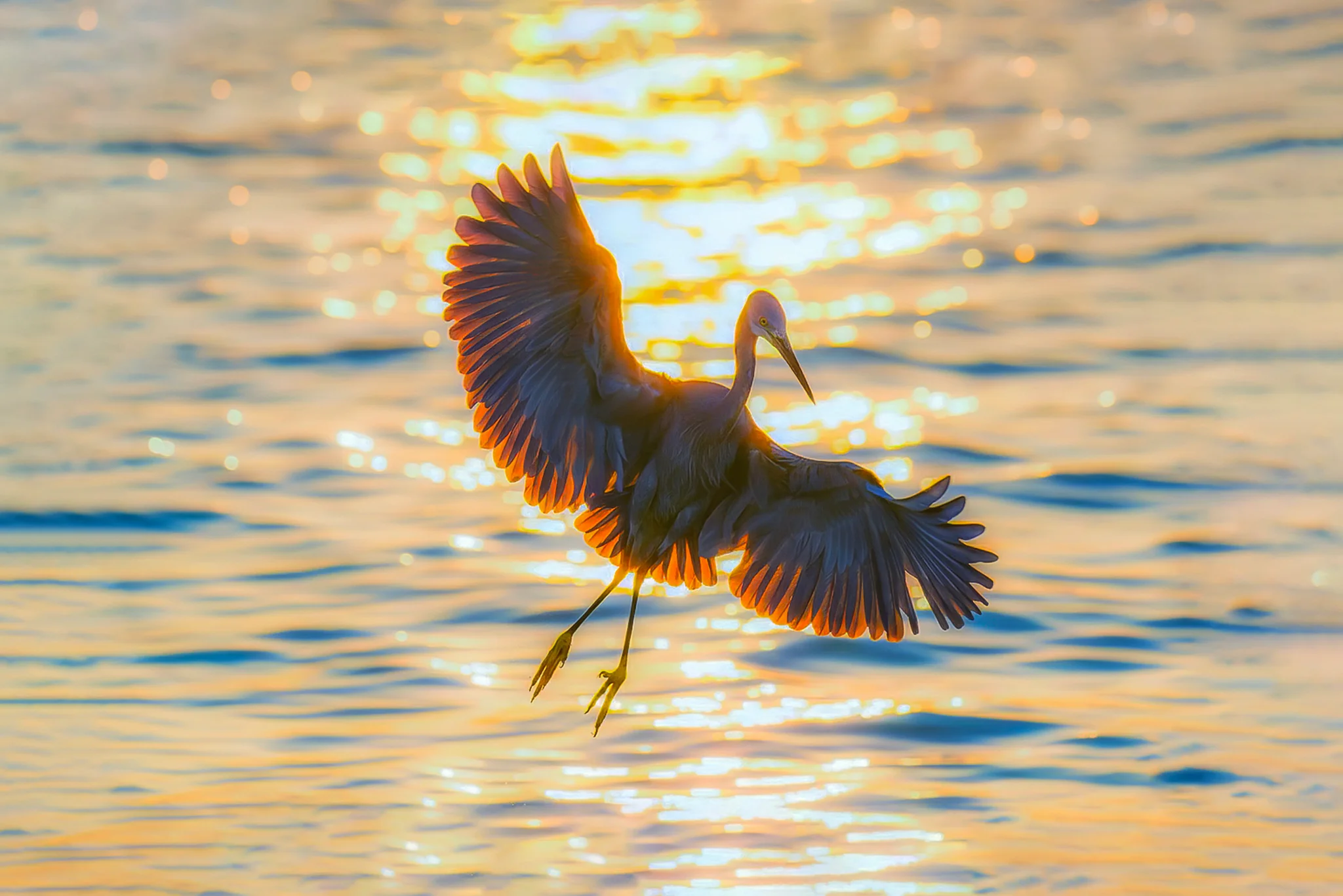 Dancer with sunset