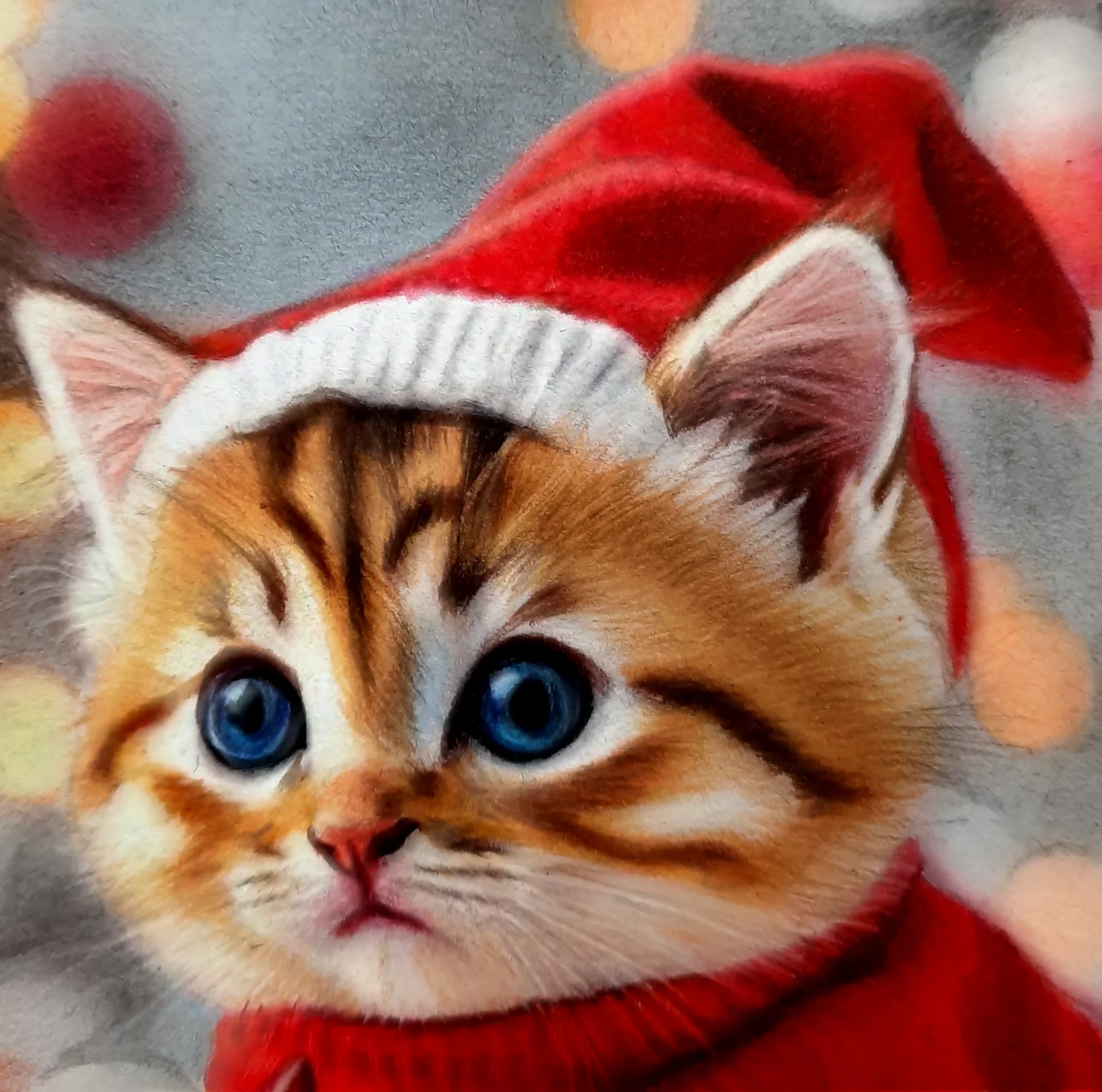 Cat in a Santa hat