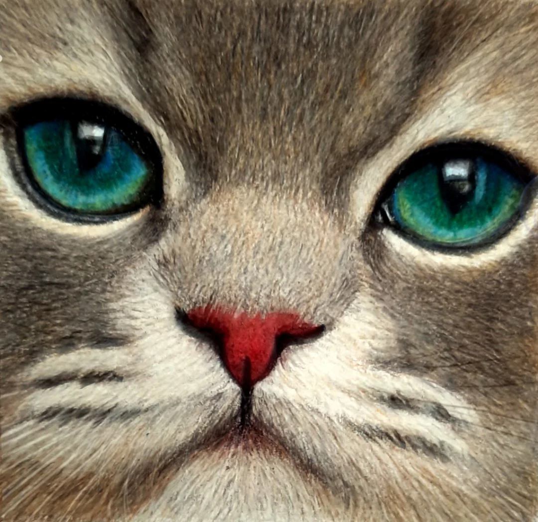 Calm cat