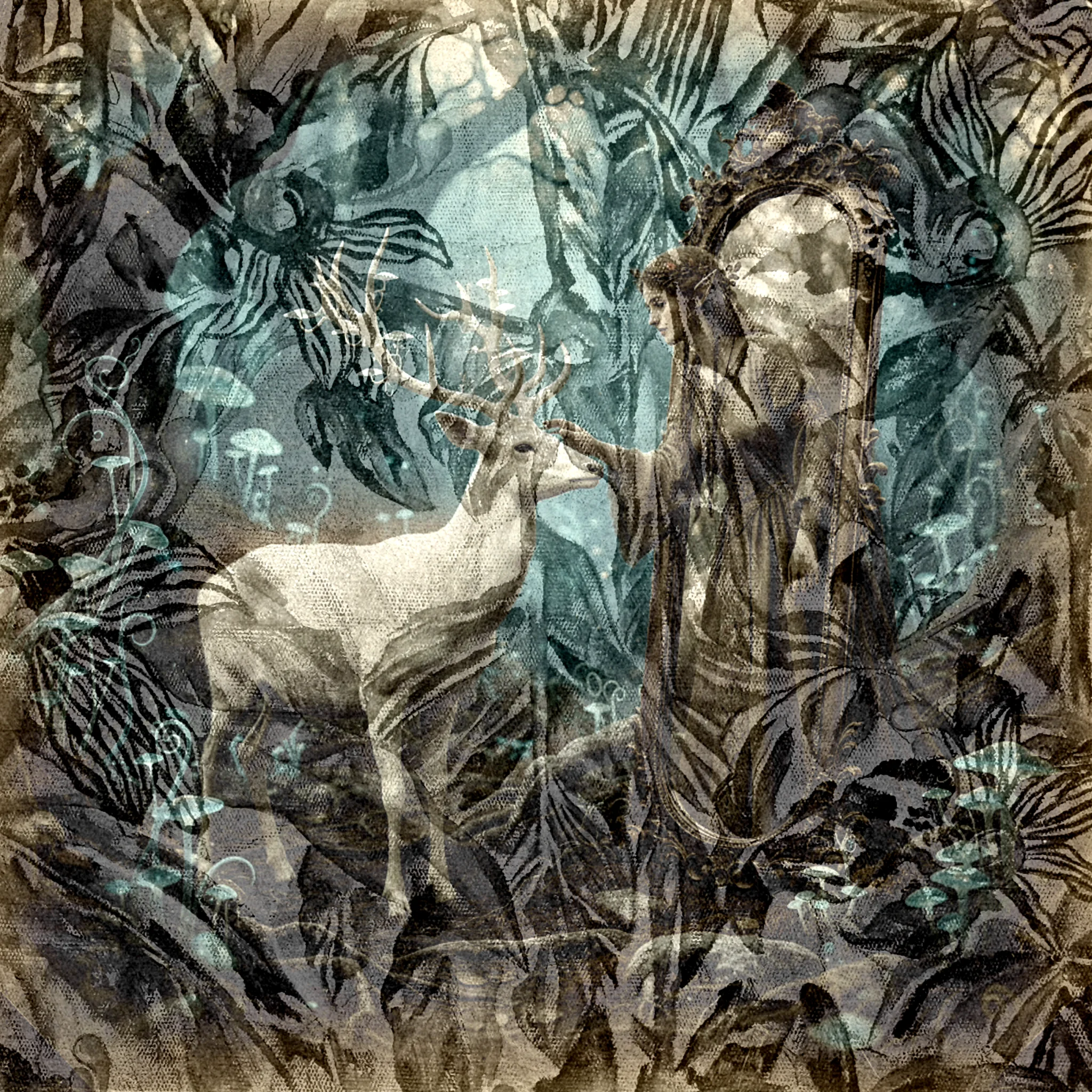 Beyond the Reflection