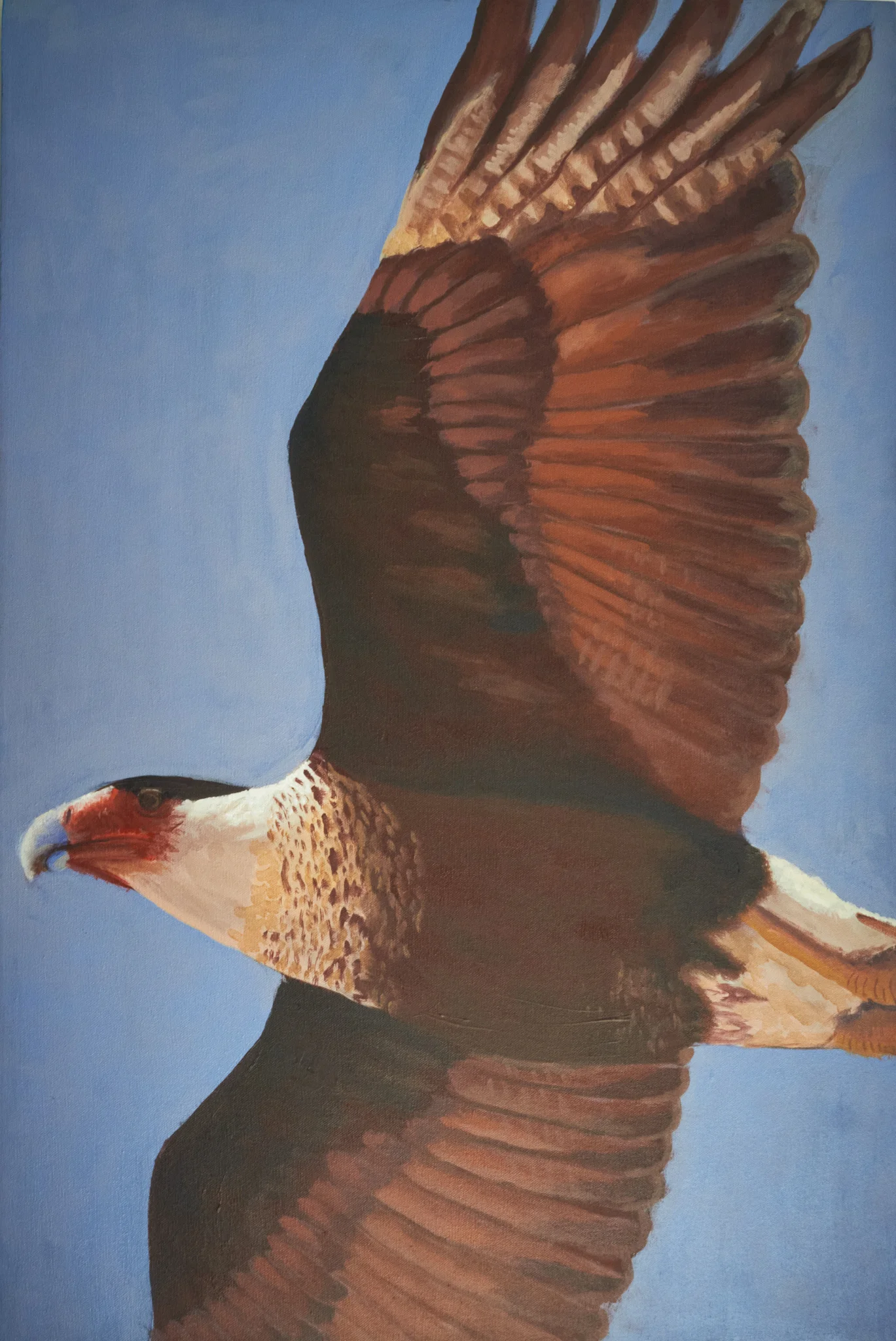 wildlife #1