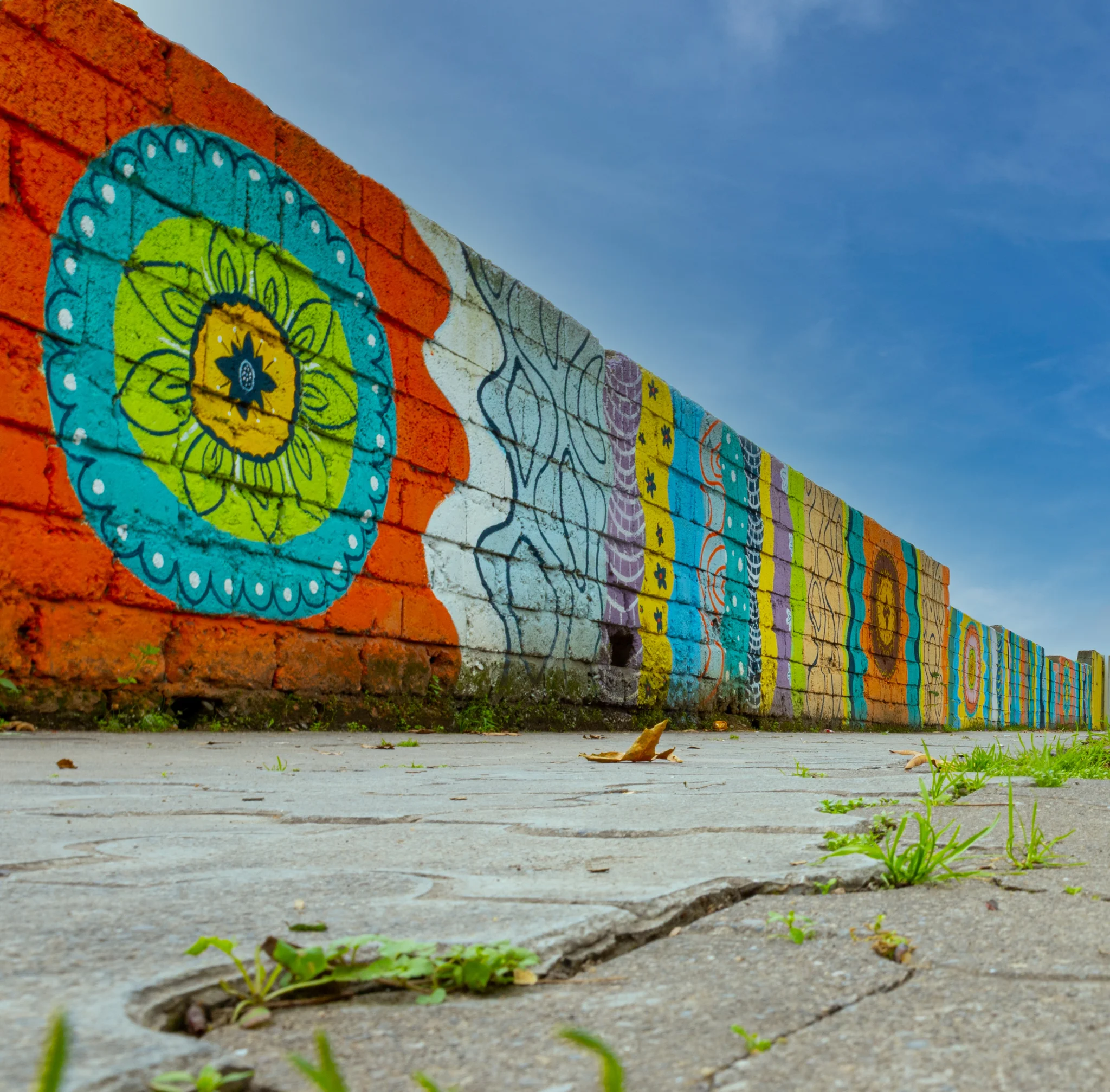 The Path of Painted Dreams