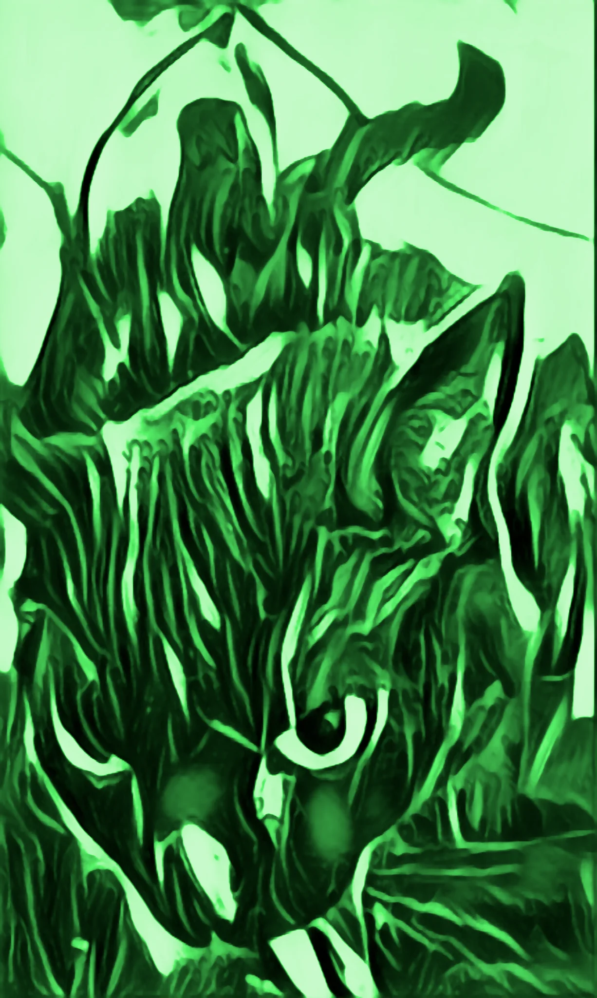 The Green Candle Watcher