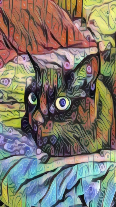 The Gaze of the Oracle