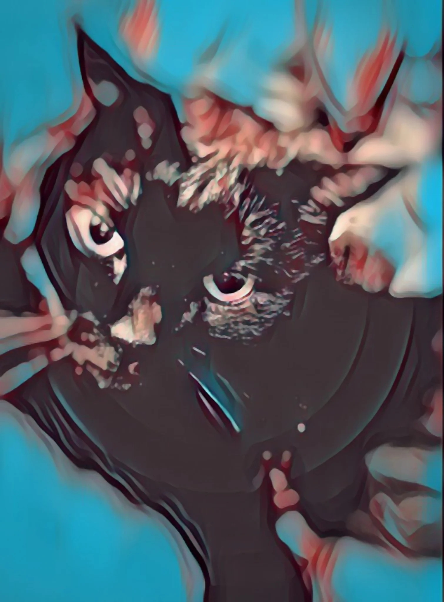 Aqua Vortex