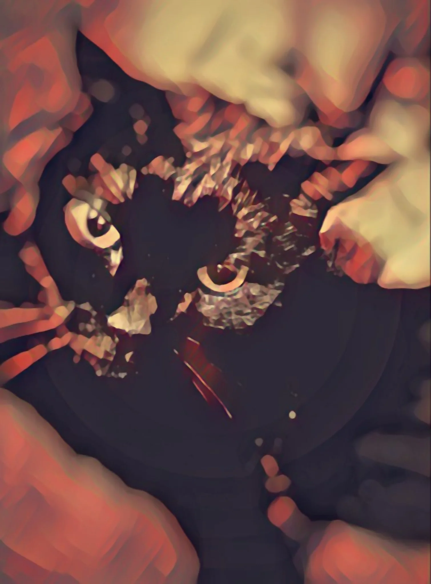 Embers and Obsidian