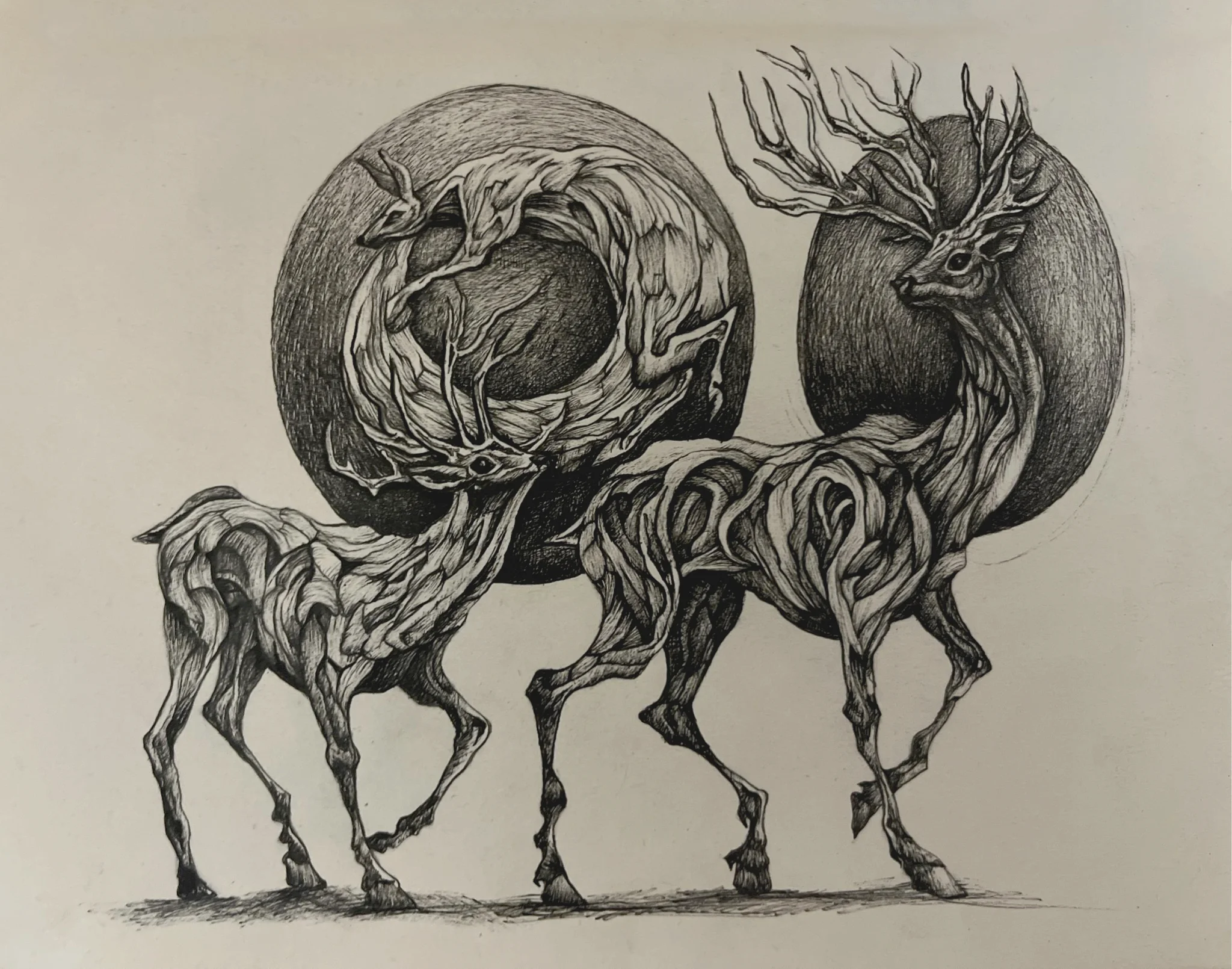 The Walking Eclipse