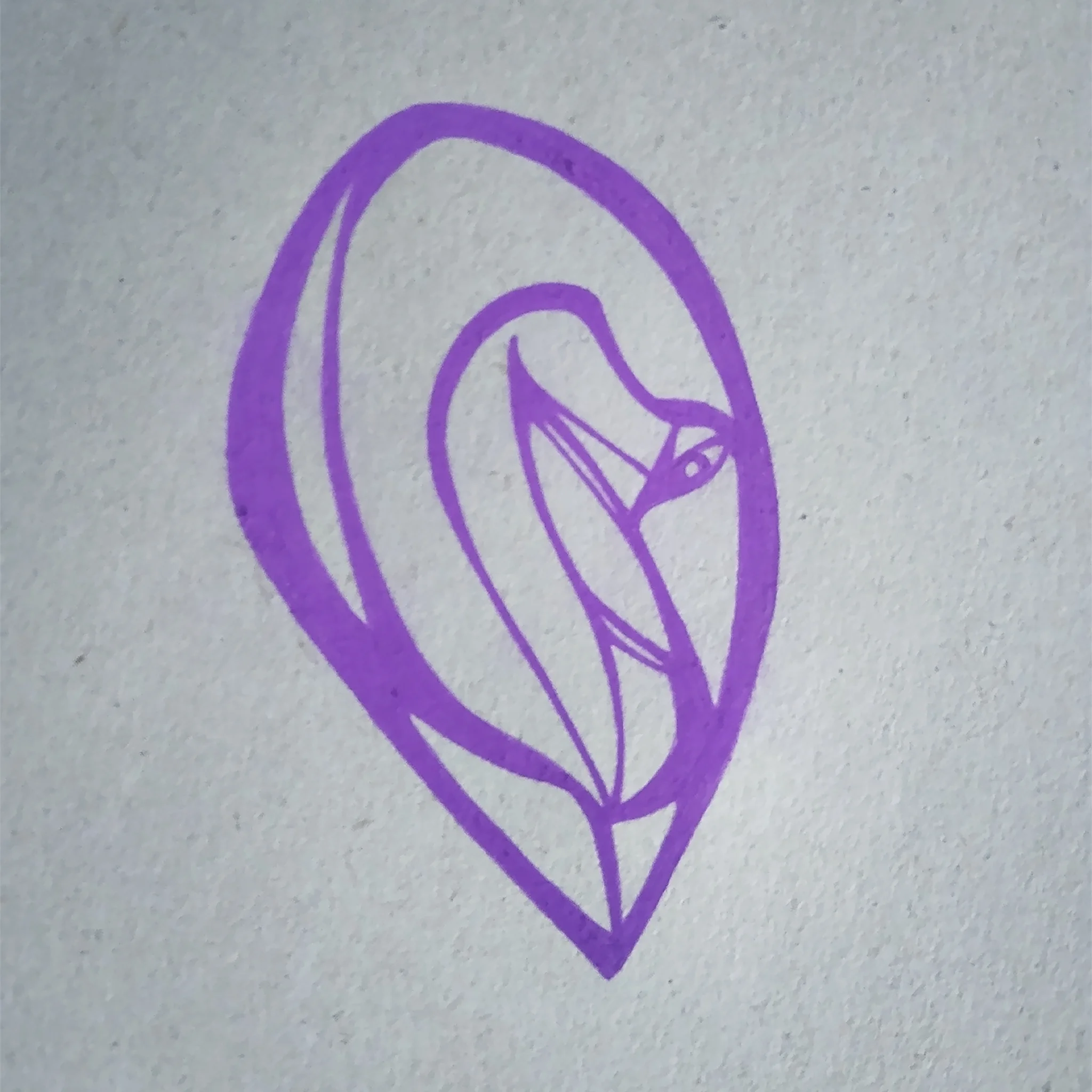 Cocoon