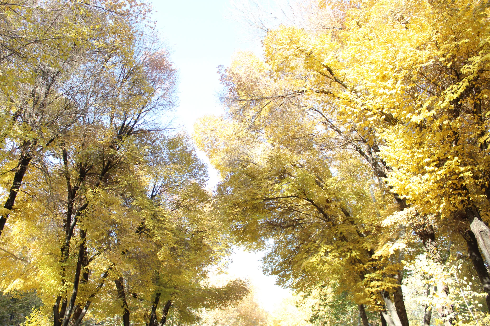feel Autumn