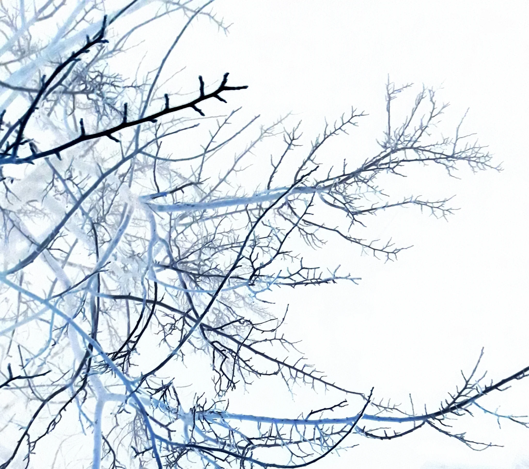 Beyond wood