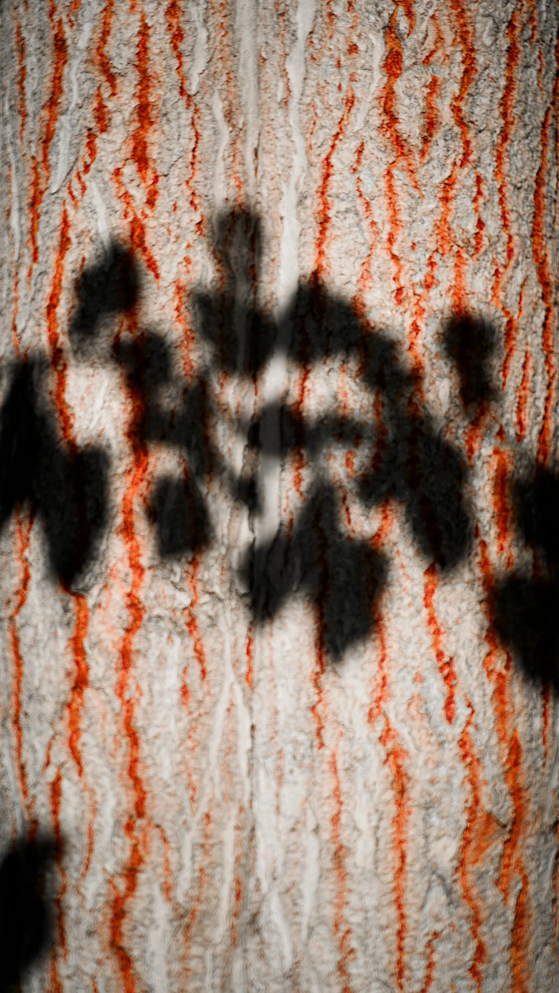 The Whispers of Sediment