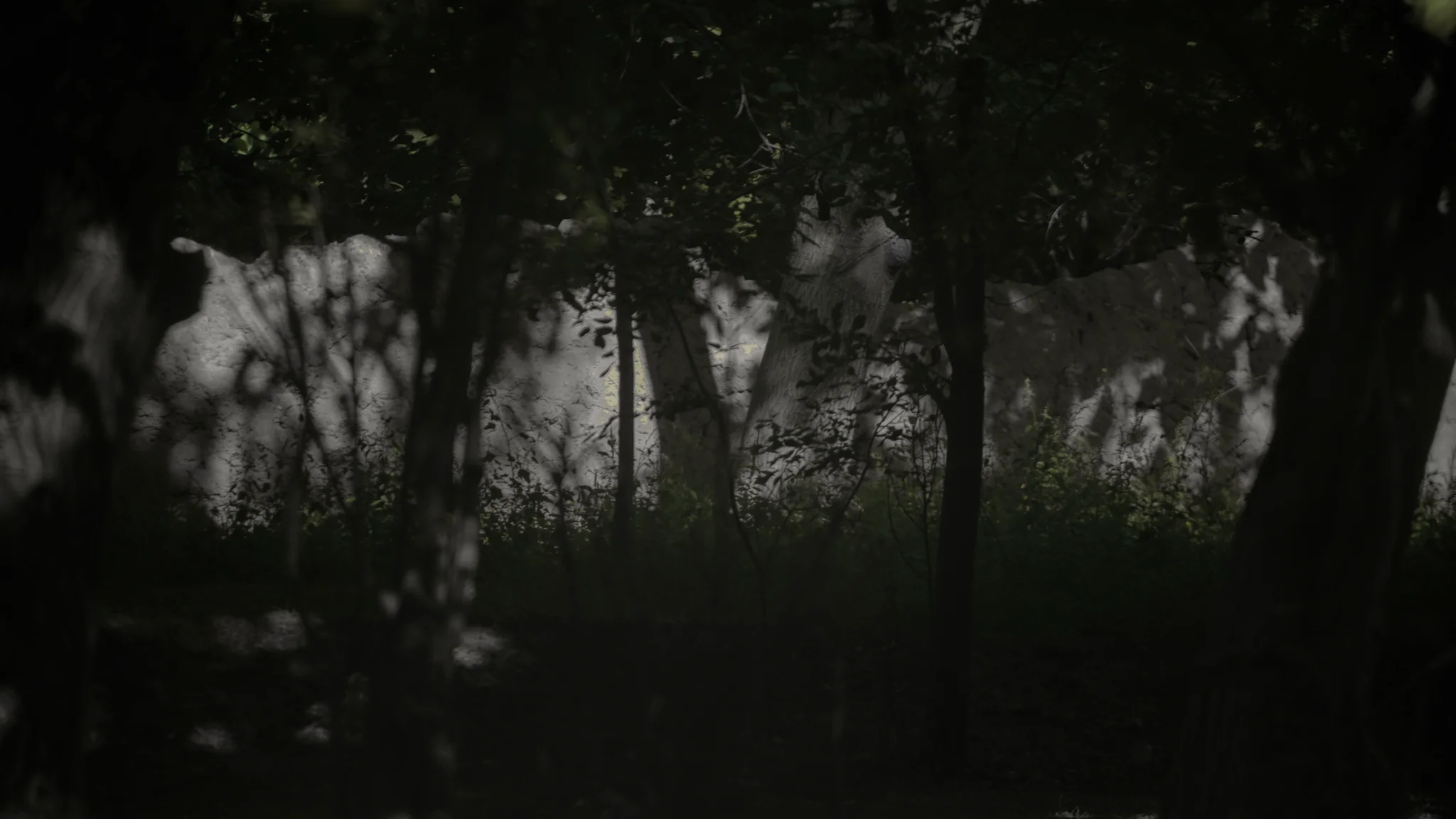 The Hidden Threshold
