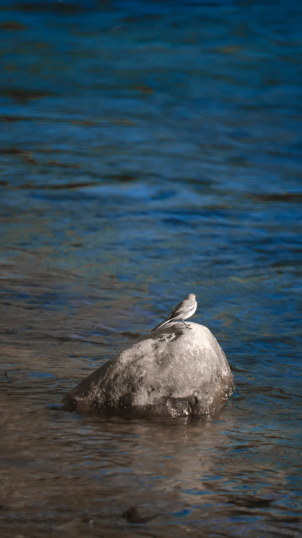 Solitude on the Current