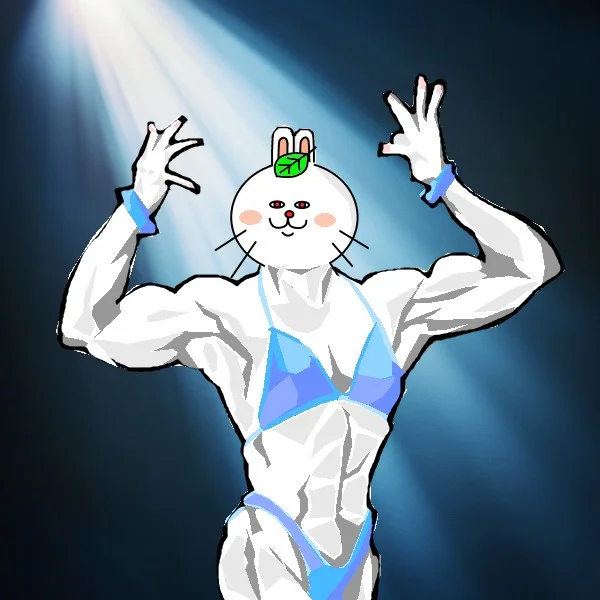 X-29 It's my life Rabbit