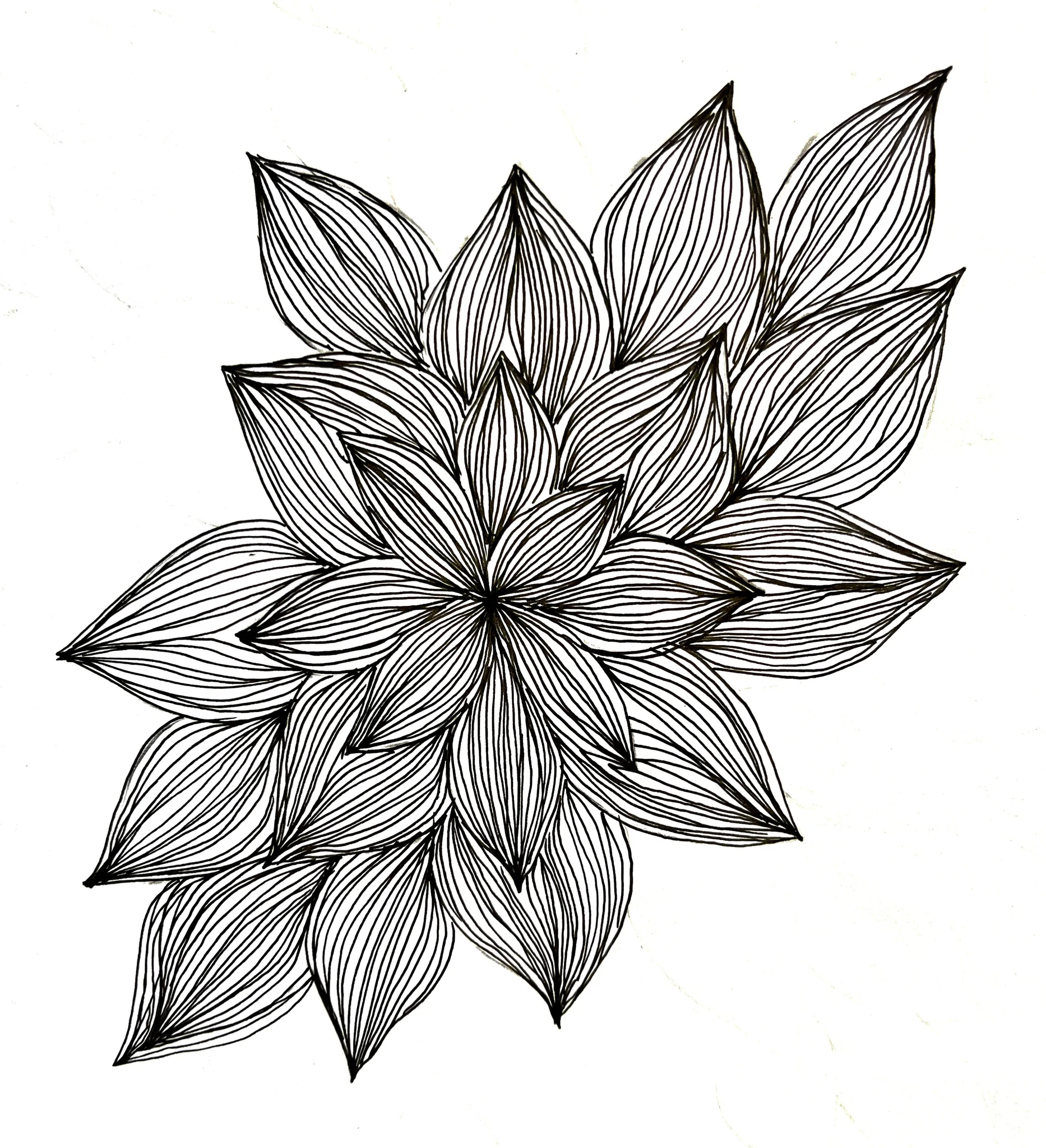Dance of Lines